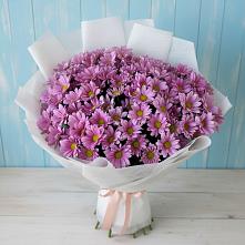 Букет цветов из:  Хризантемы в Зеленоградске