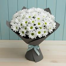 Букет цветов из:  Хризантемы в Зеленоградске