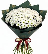 Букет цветов из:  Хризантемы в Зеленоградске