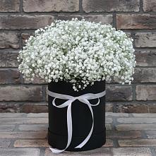 Цветочная композиция из Гипсофила в шляпной коробке #REPLACE_PRED# Зеленоградске
