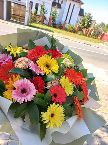 Букет цветов из: Герберы в Зеленоградске