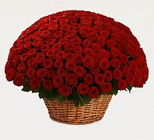 Премиум букет из: Розы в Зеленоградске