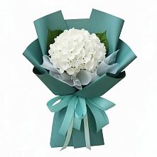Букет цветов из:  Гортензия в Зеленоградске